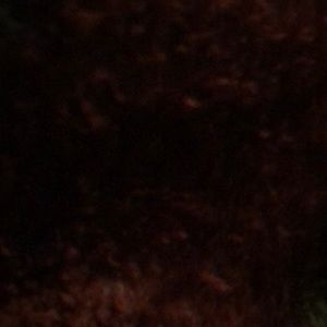 Meet your Posher, Luis